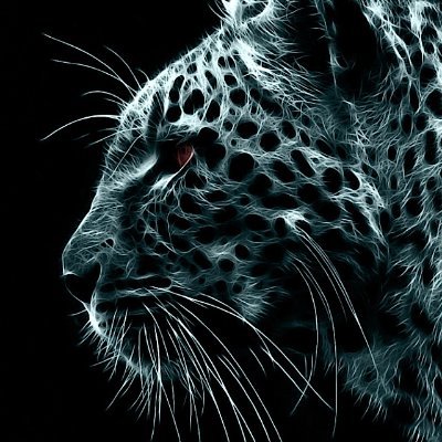 akirahungX's profile picture. UI/UX Designer