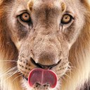 bryan lozada - @fukaroun - Twitter