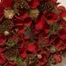 christmasrose (@nigella0405) Twitter profile photo christmasrose (@nigella0405) Twitter profile photo
