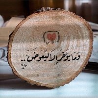 Ahmed Reda (@ahmedre42645016) 's Twitter Profile