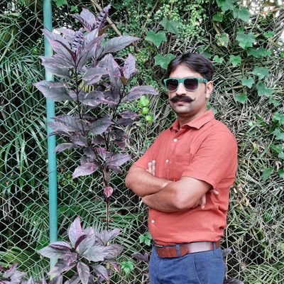 rajendra8081's profile picture. 
