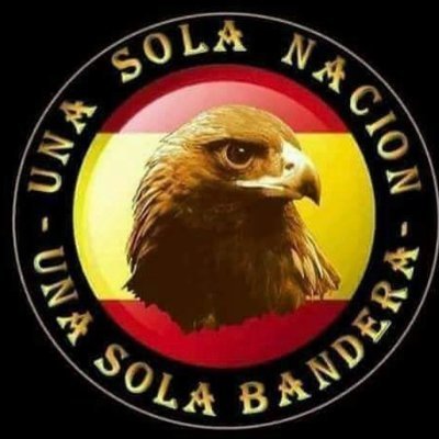 Las mentiras deberían dar un dolor mental insoportable,  así pensaríamos dos veces decir una. Nunca discutas con alguien que se cree sus propias mentiras.