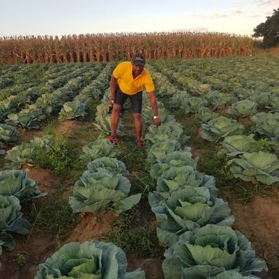 Thomas Mukanya Mapfumo and Liverpool Fc chete.Karoi Magunje Hurungwe. Mukorekore biyangu Yahwe