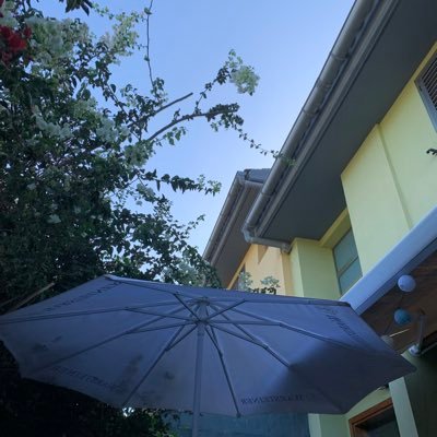 mjcalvoc's profile picture. 