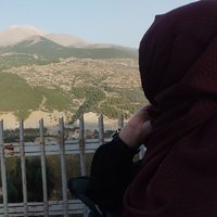 Zeynep Kökmen Batı (@batizeynep) 's Twitter Profile