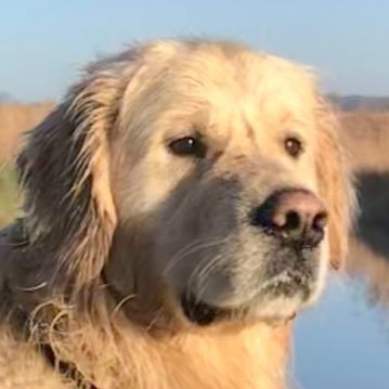 GerritSchilstra's profile picture. Landbouw, NCM, Sportpark de Pelikaan, Stikstof, Klimaat, Mestverwerking, Groene Energie. Landbouw draagt bij aan de oplossing