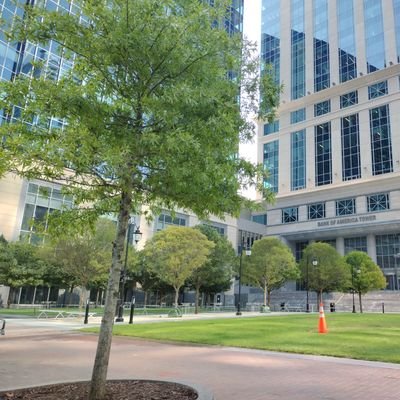 _mcdh's profile picture. :)