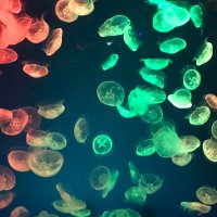 名もなき会社員 (@spitz7642) 's Twitter Profile