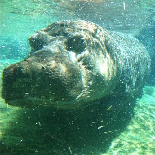 mcgrew1958's profile picture. 