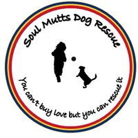 Soul Mutts Dog Rescue(@SoulMuttsUK) 's Twitter Profile Photo