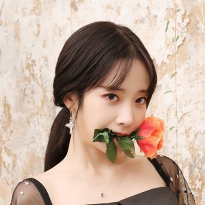 No idol, No life. アイドルは主食です。아이돌은 주식이다.
Dive into 아이브