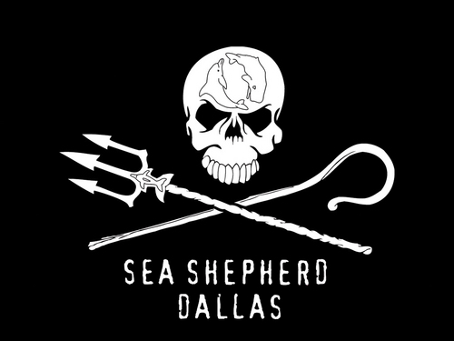 SeaShepDallas's profile picture. The official Twitter page of Sea Shepherd Dallas. Defend. Conserve. Protect. http://t.co/q8lsQtMN4S
