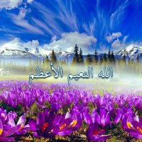 واحدة من الناس (@y_mknl) 's Twitter Profile Photo