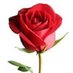 Sabbir Ali Khan (@mosabbir_ali) Twitter profile photo Sabbir Ali Khan (@mosabbir_ali) Twitter profile photo