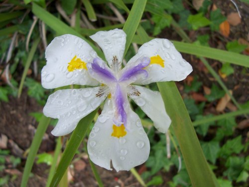 JLeighShaw's profile picture. Writer. Reader. Volunteer. Advocate. Total animal nut. Wine lover & coffee addict.