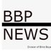 BBP News (@bbpnewsofficial) artwork