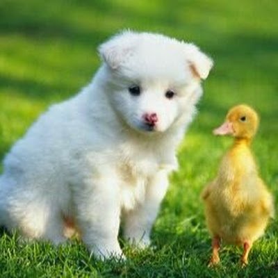 AyneLi27521704's profile picture. 無趣的靈魂