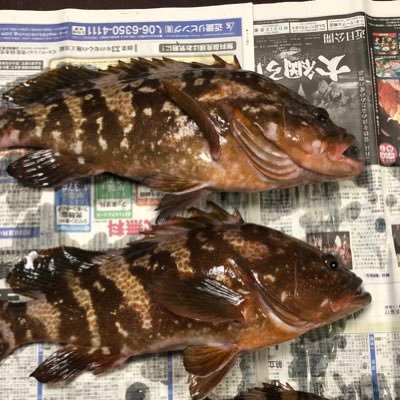 サークル活動をしている自営業の男！それが俺！荷物が届かないと不安で夜も眠れません。嘘です、めっちゃ寝ます。