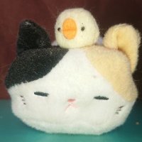 野良猫の尻尾 (@beat_cat2) 's Twitter Profile Photo 野良猫の尻尾 (@beat_cat2) 's Twitter Profile Photo