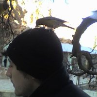 Alexis Paz (@zublander) 's Twitter Profile