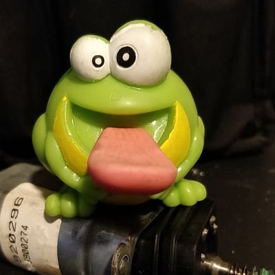 hobby_frog Profile Picture