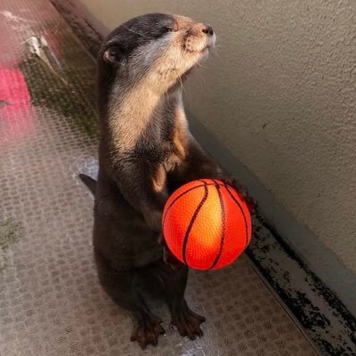 colorlight89's profile picture. 