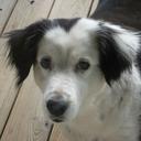 craig parrish - @Parrishair1 - Twitter