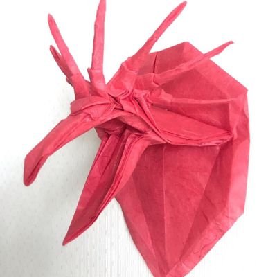 apprin21's profile picture. 元ロボカッパー/脳/折り紙/コントラバス/ピアノ