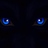 treize777's profile image