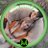 stankyguel's profile image
