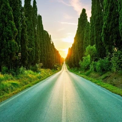 oneQWE1's profile picture. 