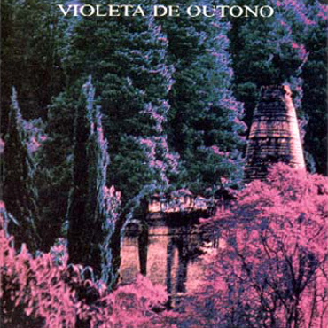 Twitter em homenagem a uma das bandas mais singulares do rock mundial - Violeta de Outono! Impossíveis de serem classificados, sugiro o óbvio: ouça-os.