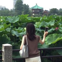 User profile - @shiro_shiro0416.
