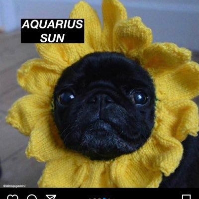 💛1922💙 Always Shining✨ Astrology Enthusiast ♒️☀️ ♈️🌙 ♍️ ✨