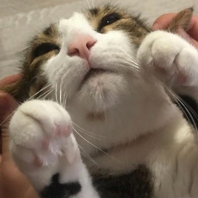 I.S.さんのプロフィール画像