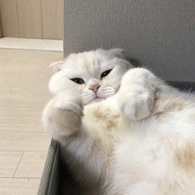 DaoNuaeDaoさんのプロフィール画像