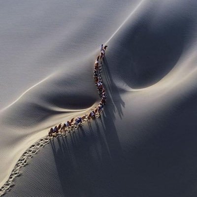 CherineSalime's profile picture. professeure de la langue française