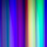 Dr. Jessica Bushey (@crowcamera) 's Twitter Profile