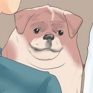 wikihow tipsさんのプロフィール画像