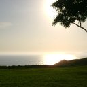 Mayra Machado Molina - @Mayra_amm - Twitter