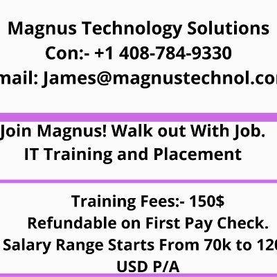 Magnus Technology Solutions is a Consulting, outsourcing and staffing services company.