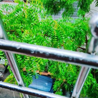 kraman1293's profile picture. take yourself.!