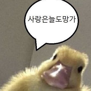 ㄲㄴㅈさんのプロフィール画像