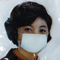 枝葉の問題 (@batten_mask) 's Twitter Profile