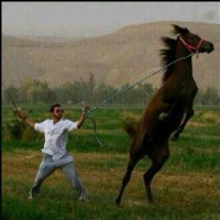 Naif🤍 ♈️ (@naeooof) Twitter profile photo