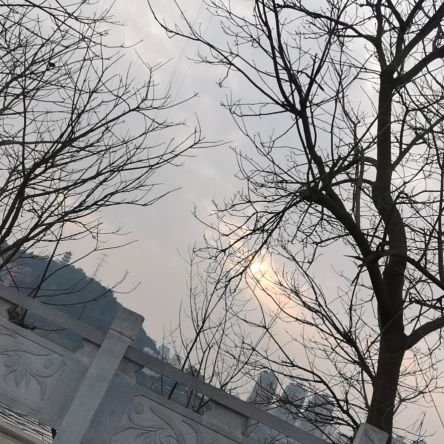 1WVX4lfUz2kSUBd's profile picture. 我第三条腿长