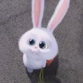 BWlove23's profile picture. 