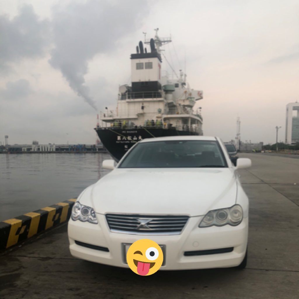 KumachanRad's profile picture. 🐻