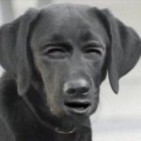 Paul 🏴󠁧󠁢󠁳󠁣󠁴󠁿 (@peanutsir67) 's Twitter Profile Photo