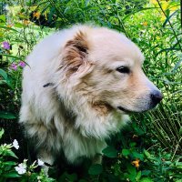Bryan Marquard (@bryanmarquard) 's Twitter Profile